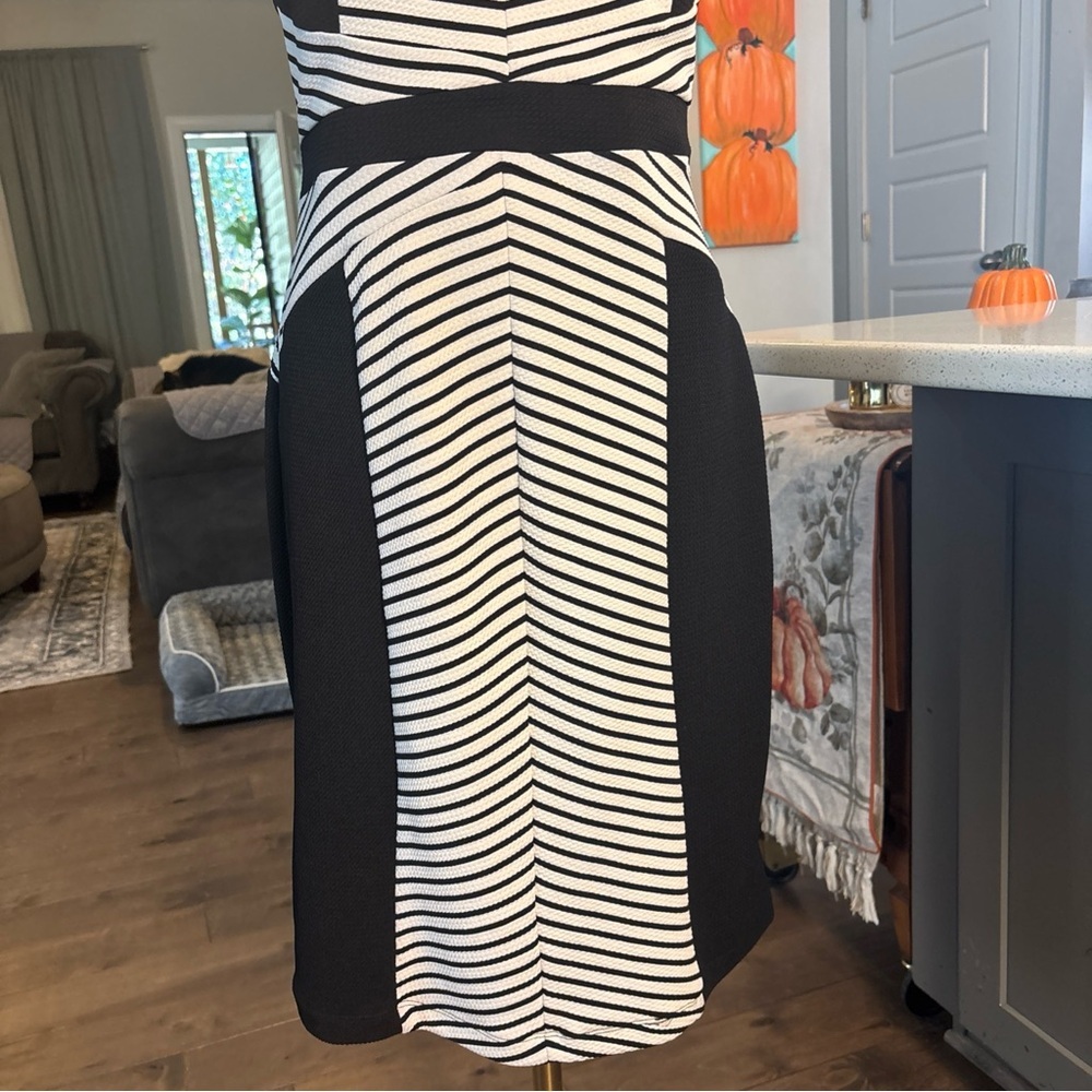 Shelby & Palmer Black and White Striped Dress - Picture 3 of 7